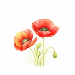 Obraz premium watercolor poppies, striking watercolor poppies