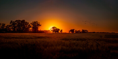 Sunser panorama. sunset in the countryside