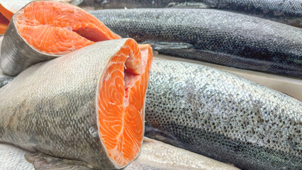 Fresh red fish on counter at market. Trade in fresh seafood in a wholesale and retail network....