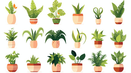 Potted home plants set. Abstract leaf houseplants g