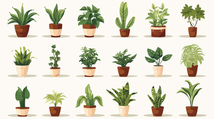 Potted home plants set. Abstract leaf houseplants g