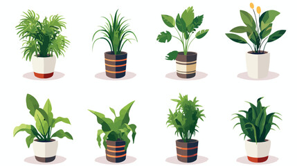 Potted house plants set. Houseplants growing in pla