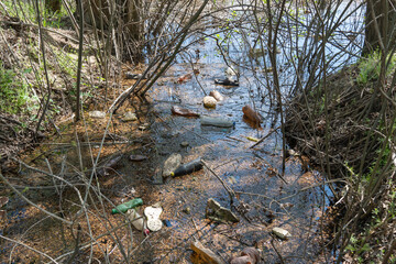 Garbage dump in forest scattered in river. Plastic trash in the lake after picnic. People illegally throw rubbish. World ecology problem of environmental protection. Garbage heap in nature.