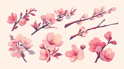 Realistic sakura hand drawn set with buds flowers l