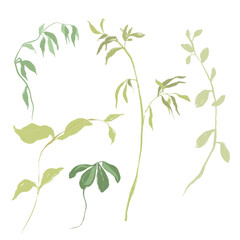 Watercolor abstract floral set of wild meadow herbs. Hand painted plants elements isolated on white background. Outdoor illustration for design, print, fabric or background.