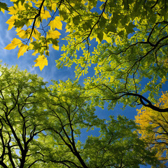 A time-lapse sequence of leaves rustling in the wind, capturing the fluid motion and dynamic energy of nature in action