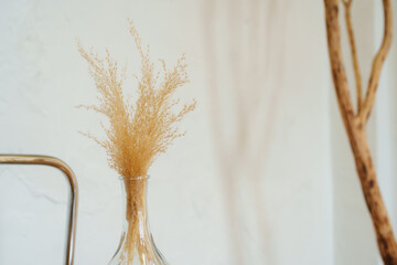 Close-up of dried grass in glass vase, background blur, focused on organic shapes, tints; feel of...