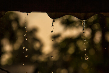 Rain drops are falling from a corrugated tin roof