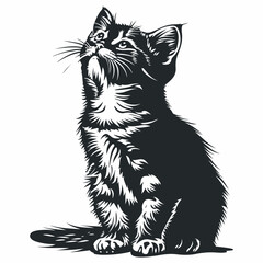 Cat sketches outline vector illustration