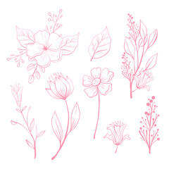 "Rosy Blooms: Hand-Drawn Flower Collection"