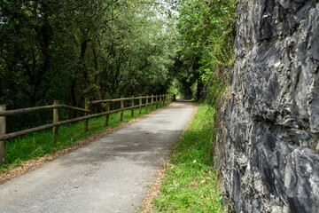 walking path with wooden fencing. Camino de Santiago, Basque Country, Spain