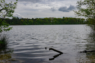 Enjoying at lake in a nature area (ijzeren man - Den Bosch)