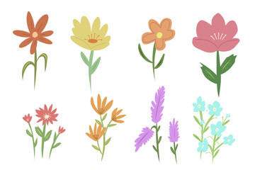 clipart of flower collection with pastel colors, flower stalk and blooming petals 