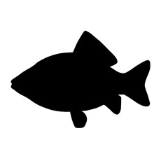 silhouette of a fish