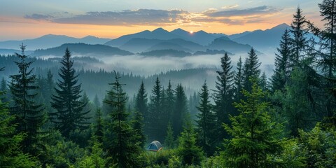 Small green tent in the middle of a coniferous forest on a foggy mountainside at sunrise