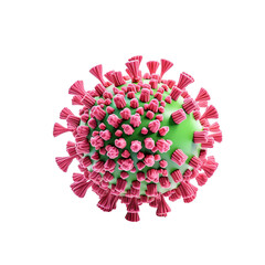 coronavirus model