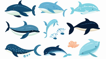 Sea animals set. Ocean fauna dolphins killer whale