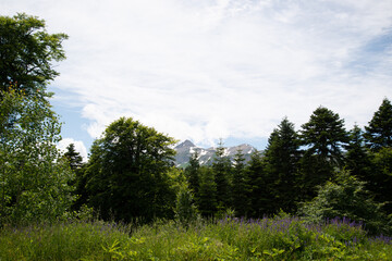 Beautiful mountain landscape in early spring.