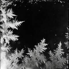 Black and white photo of frost on a window