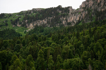 Beautiful mountain landscape in early spring.