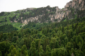 Beautiful mountain landscape in early spring.