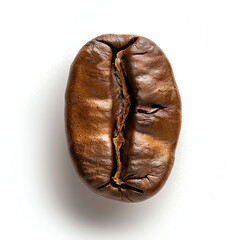 Naklejka premium Single Arabica Coffee Bean Macro on White