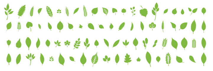 Big collection of leaves in flat style. Hand drawn vector art. 