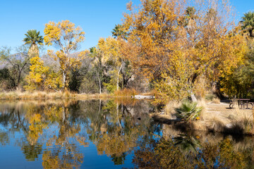 Agua Caliente Regional Park - Tucson Arizona