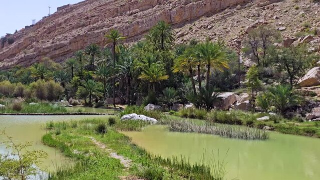Wadi Bani Khalid in  Northern Governorate, Oman