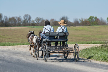 Amish boys in pony cart