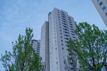 Rotterdam in den Niederlanden