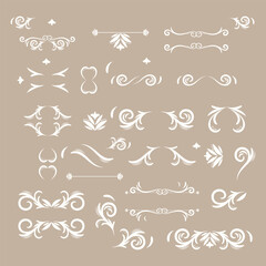 elegant floral logo elements. Borders and dividers, frame corners and branch. Boho Hand drawn line wedding herb, leaves for invitation save the date card. Botanical rustic trendy