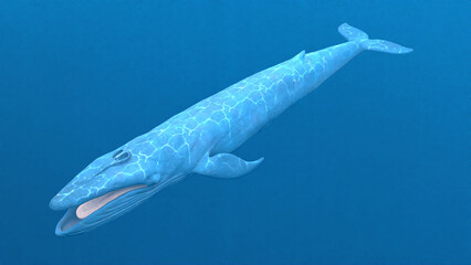 Blue Whale. This image is rendered from its 3D model. Contact me for that one as well. Thank You