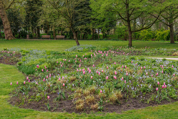 Die Stadt Rotterdam in Holland