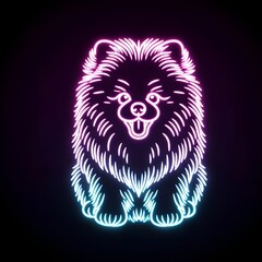 Fototapeta premium Neon pomeranian sitting down background 