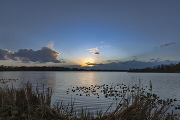Sunset over lake with lily pads and water plants