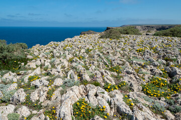 Rocas calcáreas en el Cabo de San Vicente, Portugal