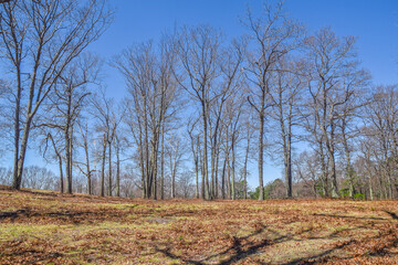 spring day on quabbin hill in massachuxetts