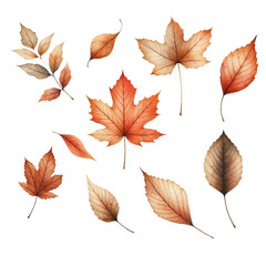 Autumn leaves collection isolated on transparent background. AI
