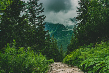 Górska wycieczka, w pochmurny dzień w Tatrzańskim Parku Narodowym © Marcin