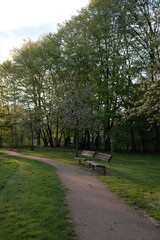 North German Park at sunset 