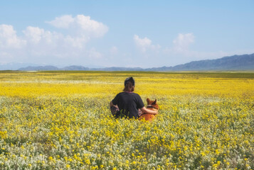 A girl with her dog sits in a beautiful spring field with yellow flowers and admires the landscape