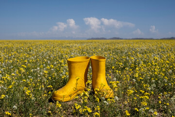 Yellow boots against the backdrop of a beautiful spring landscape with a field of yellow flowers and a blue sky
