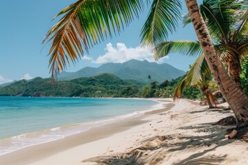 Beach With Palm Trees and Mountain in Background