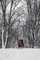 Father with his son on a mountain with big trees, having fun sledding in winter