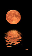 Arty Moon Reflection