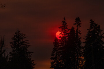 Moon Creations - smoky moon 