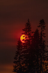 Moon Creations - smoky moon 