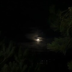 a full moon seen from afar