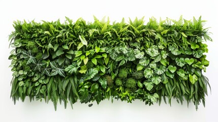 Vibrant Green Wall Against White Background Generative AI